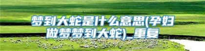 梦到大蛇是什么意思(孕妇做梦梦到大蛇)_重复