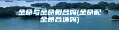 金命与金命相合吗(金命配金命合适吗)