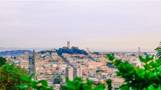 62年属虎男一生婚姻(“62年虎人”)_重复