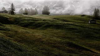 梦到被蛇咬了手(梦到蛇咬手)