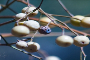 脸上有痣好不好图解(脸上哪些痣不好图解)