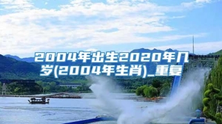 2004年出生2020年几岁(2004年生肖)_重复