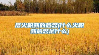 厝火积薪的意思(什么火积薪意思是什么)
