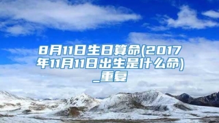 8月11日生日算命(2017年11月11日出生是什么命)_重复
