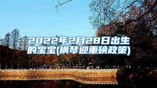 2022年2月28日出生的宝宝(横琴迎重磅政策)