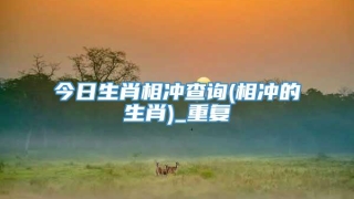 今日生肖相冲查询(相冲的生肖)_重复