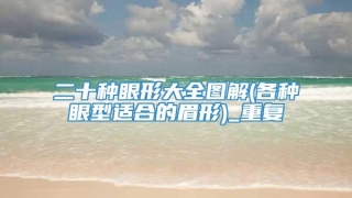 二十种眼形大全图解(各种眼型适合的眉形)_重复