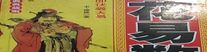 陈春林梅花易数怎么样(梅花易数的学习方法)