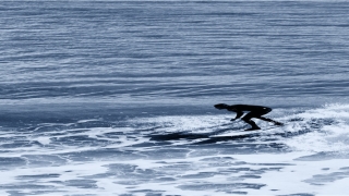 梦到老公抱个孩子什么预兆(梦见老公抱着一个小孩子)