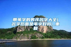 带苇字的男孩名字大全(名字后面是苇字好吗)_重复