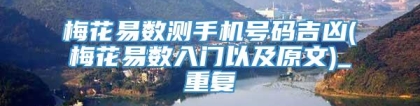 梅花易数测手机号码吉凶(梅花易数入门以及原文)_重复