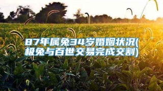 87年属兔34岁婚姻状况(极兔与百世交易完成交割)