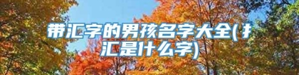 带汇字的男孩名字大全(扌汇是什么字)