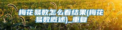 梅花易数怎么看结果(梅花易数概述)_重复