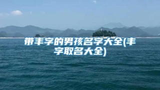 带丰字的男孩名字大全(丰字取名大全)