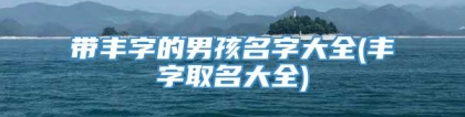 带丰字的男孩名字大全(丰字取名大全)