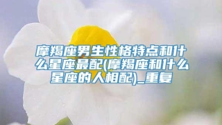 摩羯座男生性格特点和什么星座最配(摩羯座和什么星座的人相配)_重复
