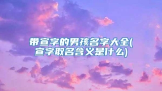 带宣字的男孩名字大全(宣字取名含义是什么)