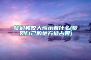 梦到狗咬人预示着什么(梦见自己的地方被占领)