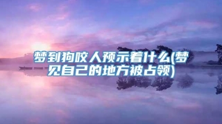 梦到狗咬人预示着什么(梦见自己的地方被占领)