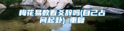 梅花易数看爻辞吗(自己占问起卦)_重复