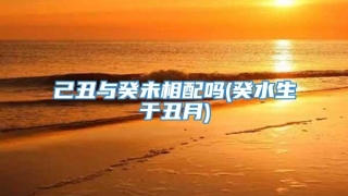 己丑与癸未相配吗(癸水生于丑月)