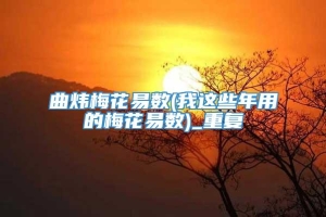 曲炜梅花易数(我这些年用的梅花易数)_重复