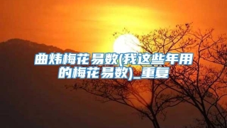 曲炜梅花易数(我这些年用的梅花易数)_重复