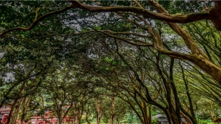 67年属羊男一生婚姻(属羊人的婚姻与命运)_重复