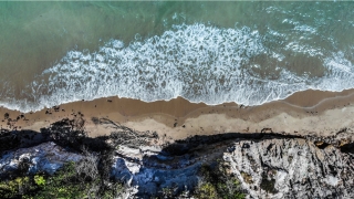 解梦吉凶：飞禽走兽虫蛇(周公解梦飞鸟入怀)
