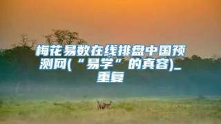 梅花易数在线排盘中国预测网(“易学”的真容)_重复