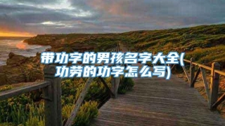 带功字的男孩名字大全(功劳的功字怎么写)