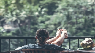 超好听的名字(名字好听的花)