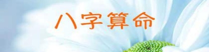 2017运势八字日柱预测 实用又准_重复