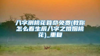 八字测桃花算命免费(教你怎么看生辰八字之婚姻桃花)_重复