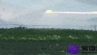 八字纯阴女孩五行缺水(八字纯阴女孩命招鬼么)