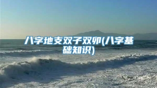 八字地支双子双卯(八字基础知识)