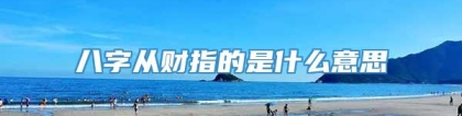 八字从财指的是什么意思