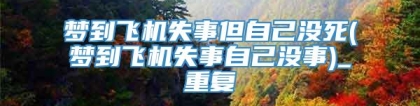 梦到飞机失事但自己没死(梦到飞机失事自己没事)_重复