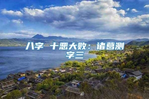 八字 十恶大败：诸葛测字三