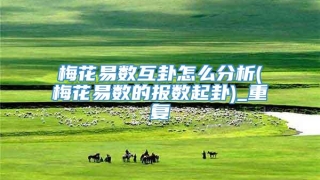 梅花易数互卦怎么分析(梅花易数的报数起卦)_重复