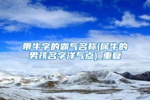 带牛字的霸气名称(属牛的男孩名字洋气点)_重复