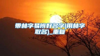 带林字易辨好名字(用林字取名)_重复