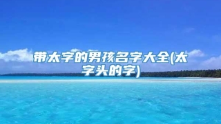 带太字的男孩名字大全(太字头的字)