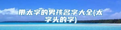 带太字的男孩名字大全(太字头的字)