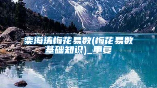 栾海涛梅花易数(梅花易数基础知识)_重复