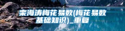 栾海涛梅花易数(梅花易数基础知识)_重复