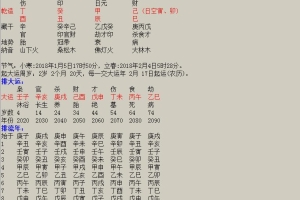 2022年必发财八字(2018年1月12日高级专家四柱八字案例详批)_重复