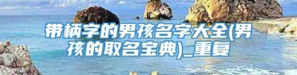 带柄字的男孩名字大全(男孩的取名宝典)_重复