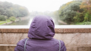 2022虎年运势(2022年虎年)_重复